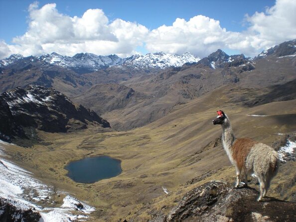 Lares Valley Trek with Hot Spring 4-Day, 3-Night - What makes this trek worth considering