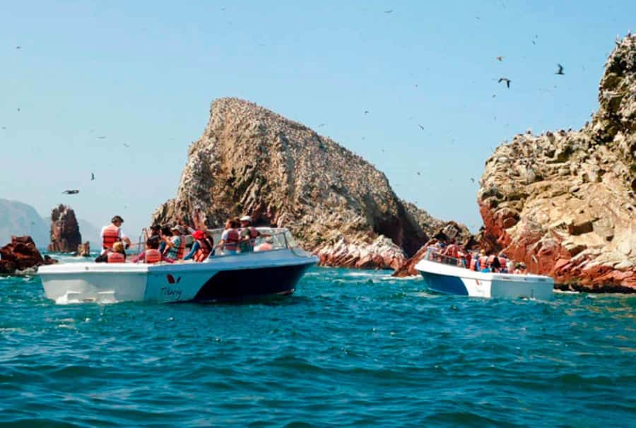 Lima: 7-Day Inca Tour with Flights and Machu Picchu - Machu Picchu rewards an early start