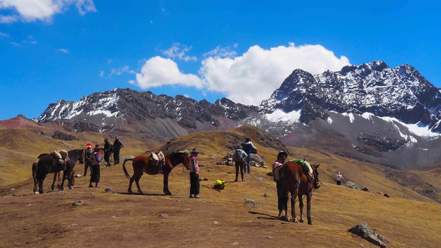 Lima: 7-Day Inca Tour with Flights and Machu Picchu - Lima begins with pyramids and colonial squares