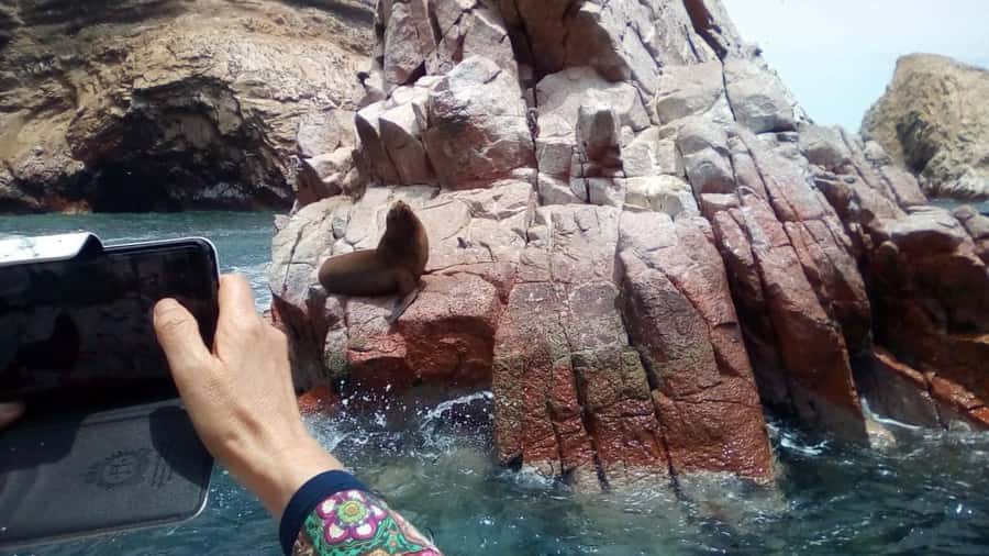 Lima and Nasca : Ballestas -Huacachina-Nasca Lines - Tacama and the pisco route