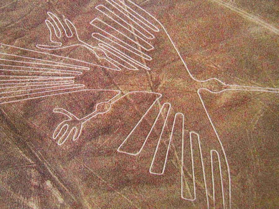 Lima: Ballestas Islands, Huacachina Oasis & Nazca Lines Tour - Key things to know before booking