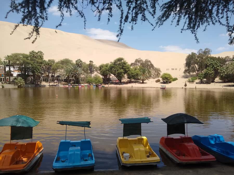 Lima: Ballestas Islands, Huacachina Oasis & Nazca Lines Tour - Who should book this day trip?