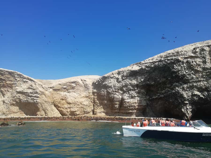Lima: Ballestas Islands, Winery and Nazca Lines Private Tour - Key details before you book