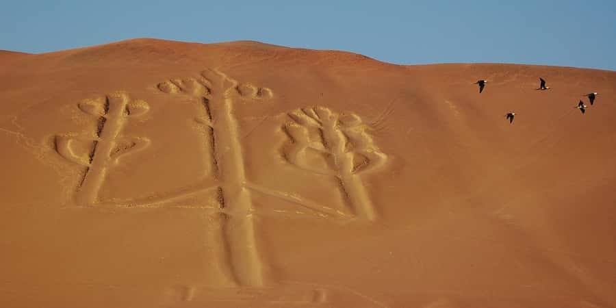 Lima: Ballestas Islands, Winery and Nazca Lines Private Tour - Paracas National Reserve and the coast
