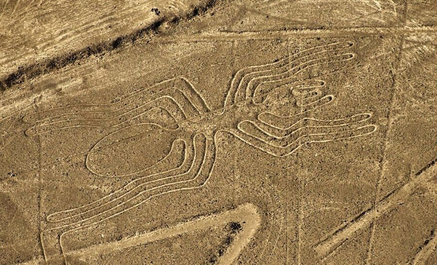 Lima: Ballestas Islands, Winery and Nazca Lines Private Tour - Flying over the Nazca Lines from Pisco