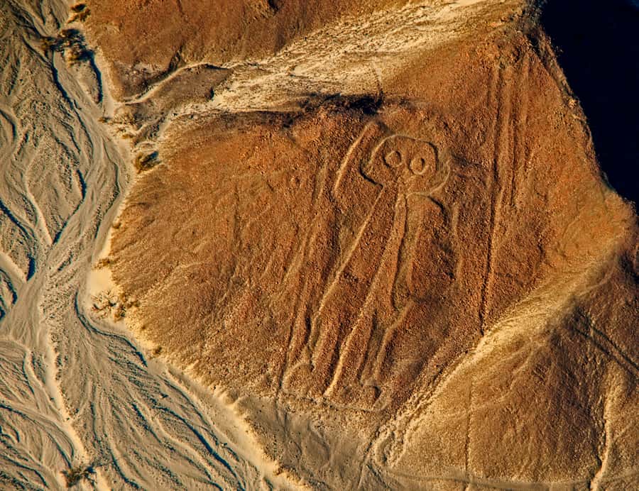 Lima: Ballestas Islands, Winery and Nazca Lines Private Tour - What the $660 price really covers