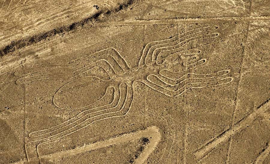 Lima: Ballestas Islands, Winery and Nazca Lines Private Tour - Guides, language, and private service