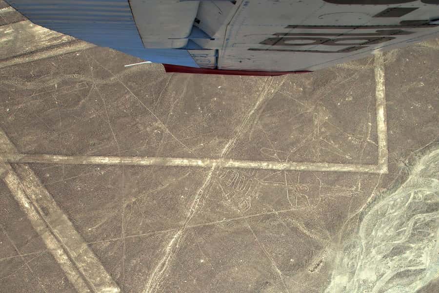 Lima: Ballestas Islands, Winery and Nazca Lines Private Tour - Ballestas Islands by the first boat