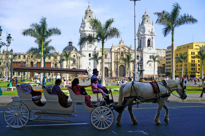 Lima City Tour. Pre-Hispanic, Colonial and Modern Tour. - San Isidro offers a quiet change of pace