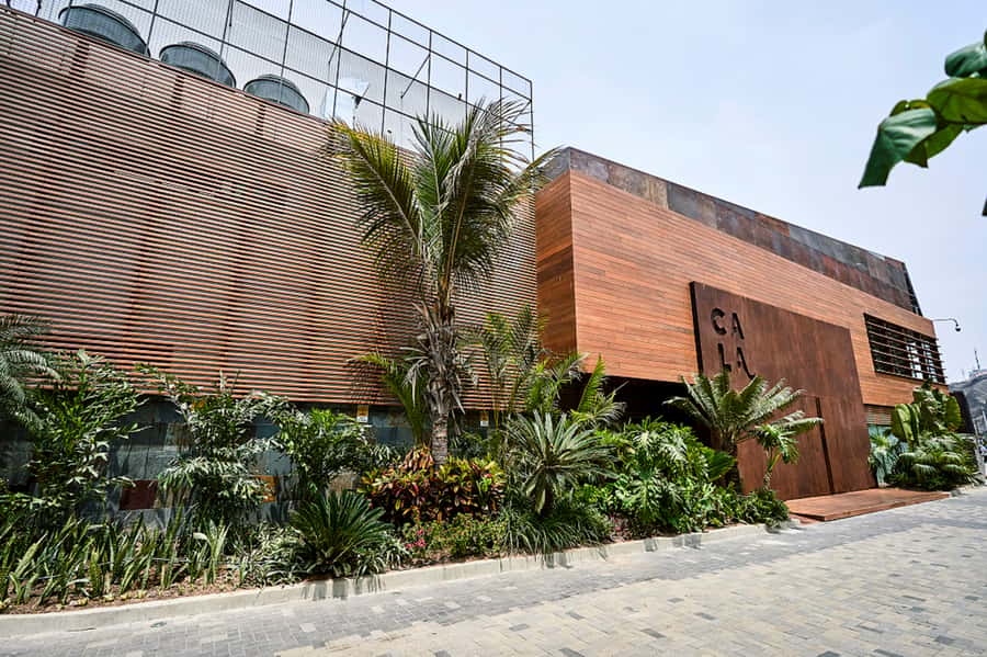 Lima: Demo Cooking Class with Lunch at Cala Restaurant - Is the $90 price good value?