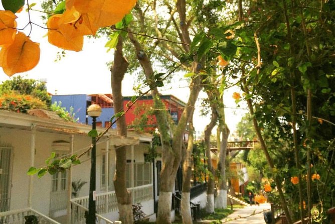 Lima Gourmet Food Tour: Daytime Experience - Guides, group size, and the feel of the day