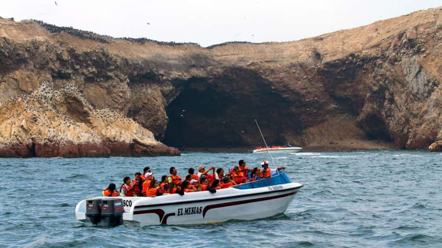 Lima | Islas Palomino Tour | Swim with Sea Lions - Reaching San Lorenzo and the Palomino Islands