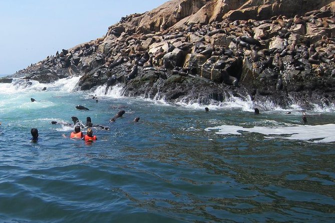 Lima: Palomino Islands Excursion & Swimming with Sea Lions with Hotel Transfers - The speedboat ride past four protected islands