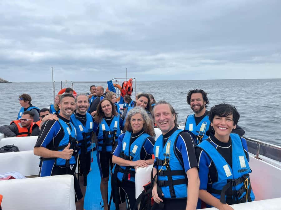 Lima: Palomino Islands Speedboat Tour & Swim with Sea Lions - Why the Palomino Islands make a good Lima side trip