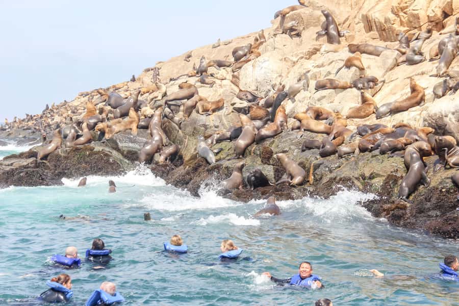Lima: Palomino Islands Speedboat Tour & Swim with Sea Lions - Boarding the speedboat at Callao Harbor
