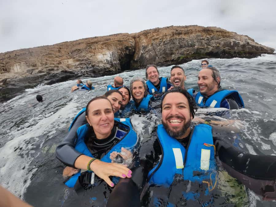 Lima: Palomino Islands Speedboat Tour & Swim with Sea Lions - What swimming with sea lions is really like