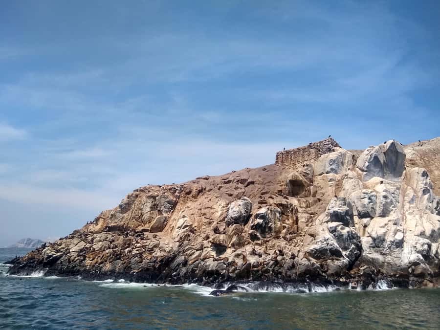 Lima: Palomino Islands Speedboat Tour & Swim with Sea Lions - Who will enjoy this tour most