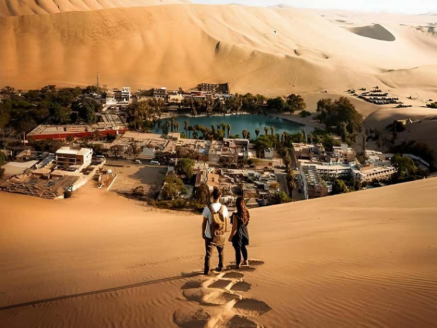 Lima: Paracas & Huacachina Oasis Day Trip with Wine & Dunes - Why combine Paracas and Huacachina in one day?