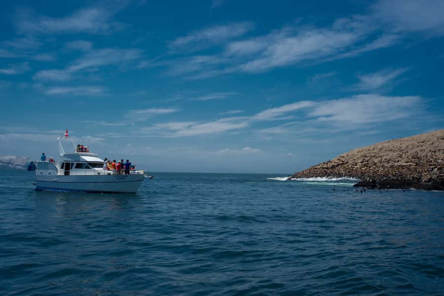 Lima: Sea Lion Swim and Wildlife Palomino Islands Cruise - Starting at Muelle Club Canottieri in La Punta