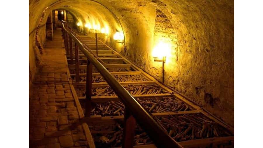 LIMA WALKING TOUR CATACOMBS FROM MIRAFLORES, HISTORICAL CENTER, WINES+BUS - Why this Lima tour works well