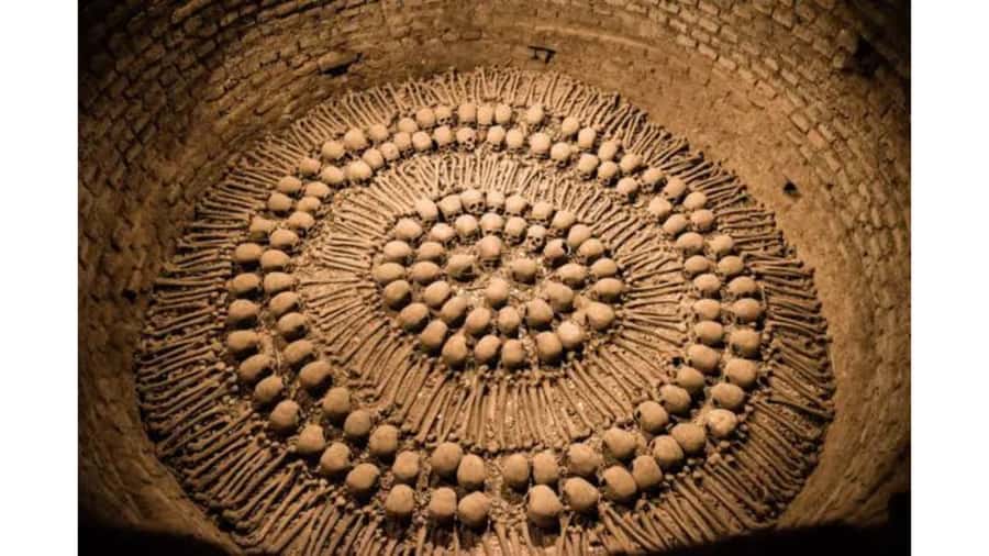 LIMA WALKING TOUR CATACOMBS FROM MIRAFLORES, HISTORICAL CENTER, WINES+BUS - Crossing Lima by public bus from Miraflores