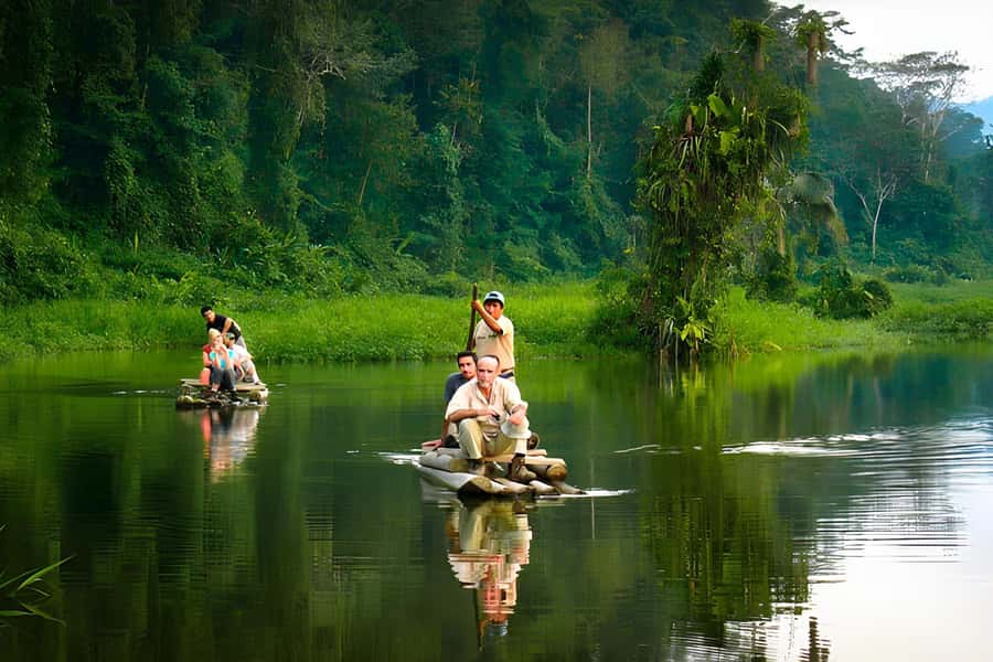 Living Nature from Cusco: 3 Days Manu Jungle all inclusive - From Cusco’s Andes to the Manu cloud forest