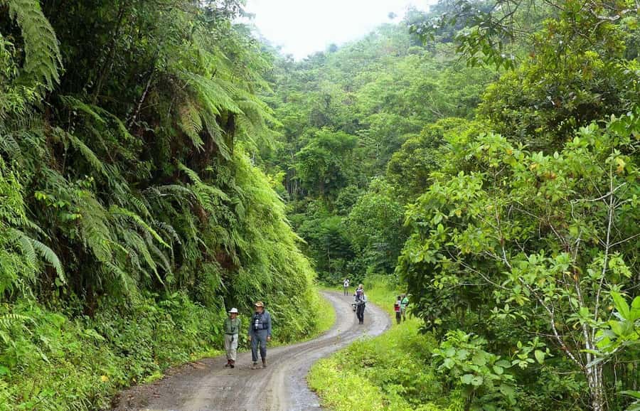 Living Nature from Cusco: 3 Days Manu Jungle all inclusive - The 40-minute boat ride into the Amazon Manu Lodge