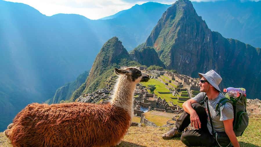 Machu Picchu: 1-day tour by Vistadome Panoramic train - Watching the Sacred Valley route from the Vistadome