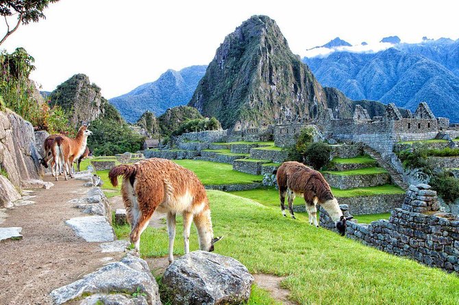 Machu Picchu By Train 2 Days Tour - Returning to Cusco by train and bus