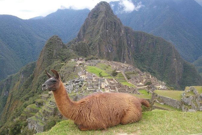 Machu Picchu Day Trip from Cusco – Full-Day Tour - The return trip to Cusco