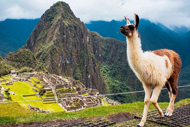 Machu Picchu Day Trip from Ollantaytambo and Urubamba - Why this private Machu Picchu trip works