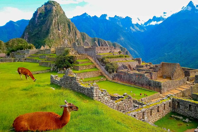 Machu Picchu Day Trip from Ollantaytambo and Urubamba - From Aguas Calientes to the citadel
