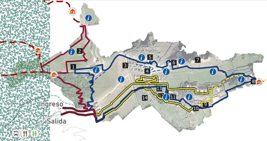 Machu Picchu Entry Ticket and Bus from Aguas Calientes - Key points to know before booking
