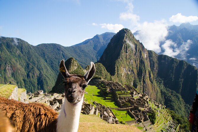 Machu Picchu from Cusco : tickets, guide and more - Key points to know before booking