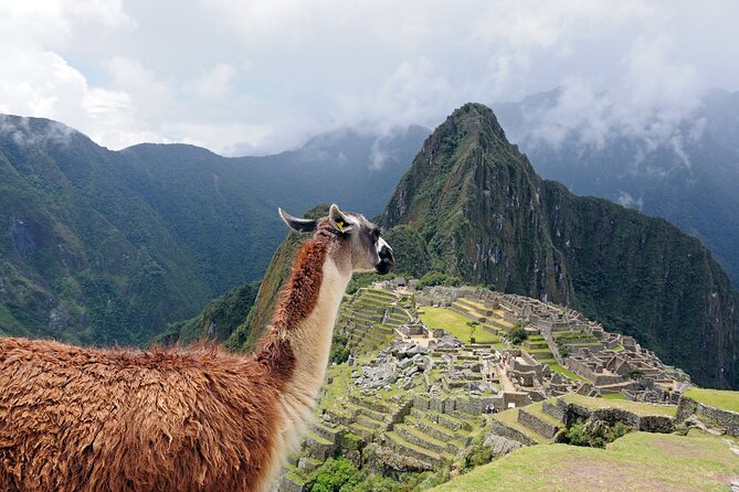 Machu Picchu from Cusco : tickets, guide and more - January through April: the bimodal route