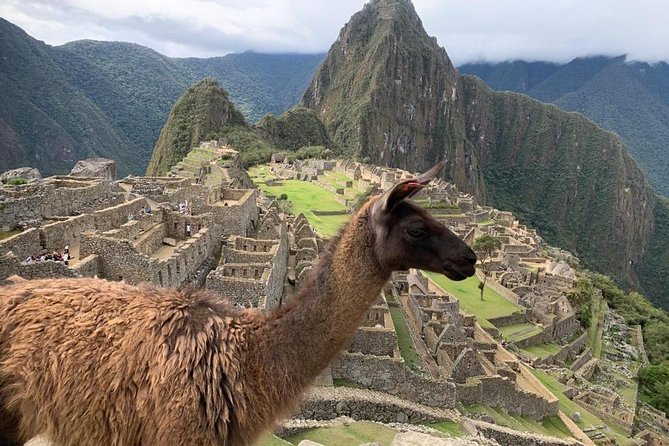 Machu Picchu FULL DAY from Cusco - The 30-minute bus to Machu Picchu
