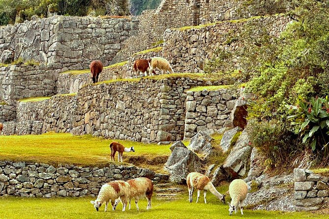 Machu Picchu Full Day from Cusco - Your free time in Aguas Calientes