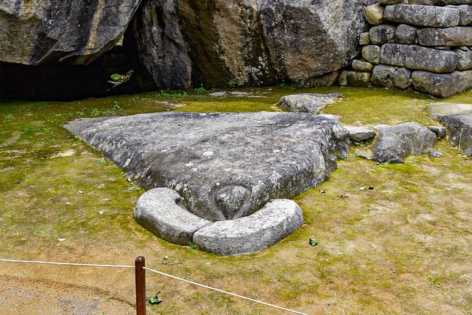 Machu Picchu full day from Cusco - by Panoramic Train - Who should book this experience