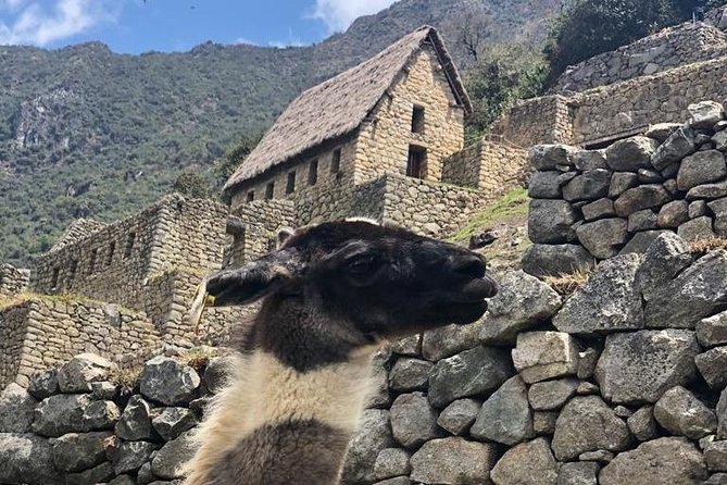 Machu Picchu Full Day from Cusco - Ollantaytambo and the scenic train