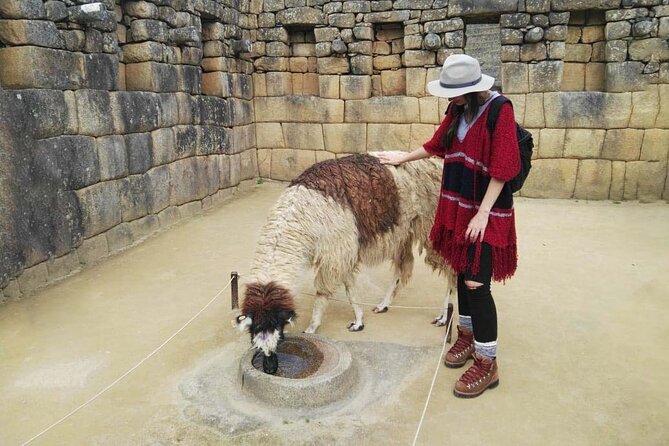 Machu Picchu Full Day - Private Tour - Who should book this tour?