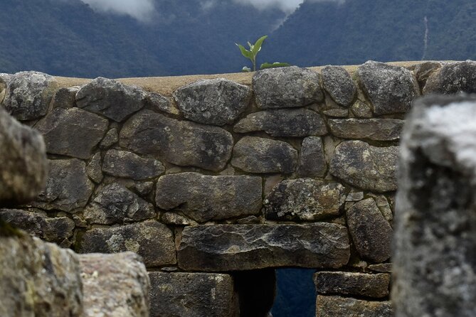 Machu Picchu full day Tour by train Expedition - Who will get the most from this tour
