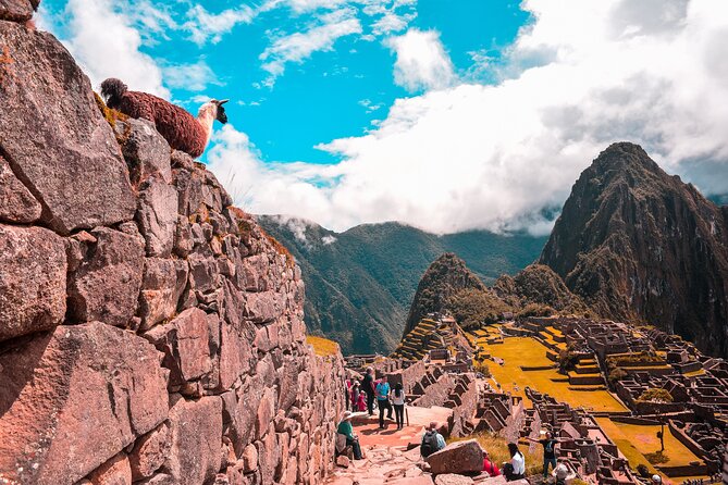 Machu Picchu Full-Day Tour by Train from Cusco - Small Group - Why this Machu Picchu day trip appeals