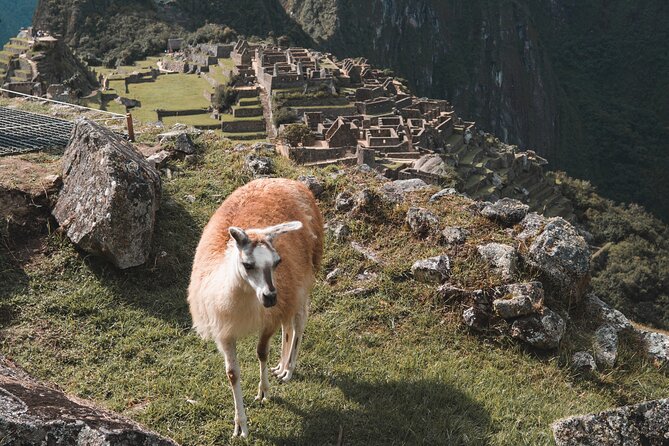 Machu Picchu Full-Day Tour by Train from Cusco - Small Group - Two hours with a guide, then free time