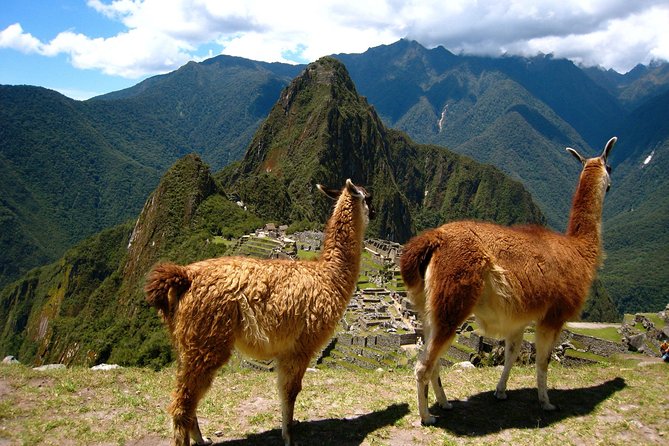 Machu Picchu Full-Day Tour from Cusco with Panoramic Train - Why this day trip works from Cusco