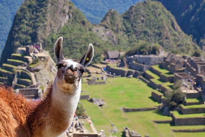 Machu Picchu Full Day Tour from Cusco with Train & Entrance - The bus ride to Machu Picchu