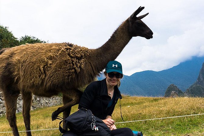 Machu Picchu Full Day Tour / Machu Picchu Day Trip - Lunch in Aguas Calientes, then the return train