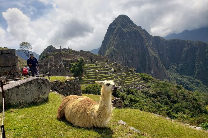 Machu Picchu Full Day Tour with a Private Guide - Aguas Calientes and the bus to Machu Picchu