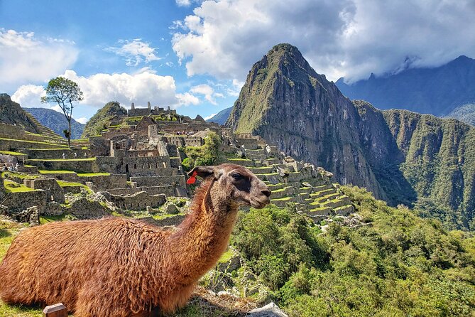 Machu Picchu Full Day Tour with a Private Guide - What to expect on the four-hour train journey