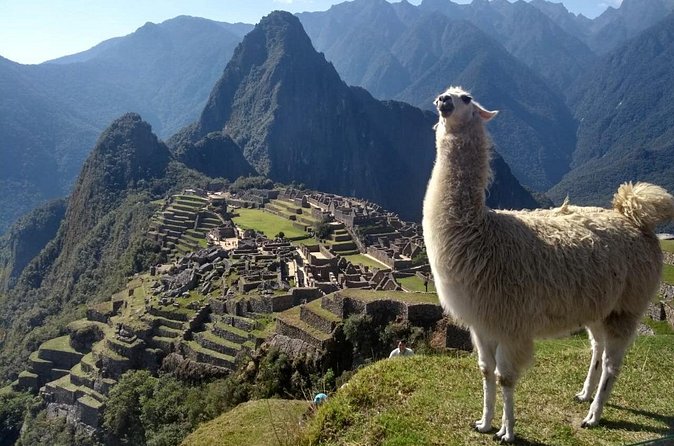 Machu Picchu Private Day Trip from Cusco - Finding the bus at Aguas Calientes