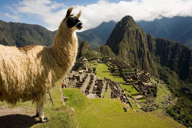 Machu Picchu Private Guided Tour from Aguas Calientes - Is $179 a fair price?